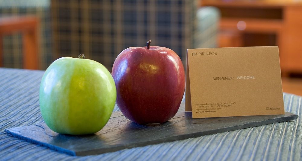 Nh Lleida Pirineos Hotel Екстериор снимка